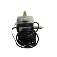 Термостат Protherm Ведмідь PLO, KLO арт. 0020025281